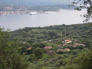 DSCN7543 (640x480).jpg