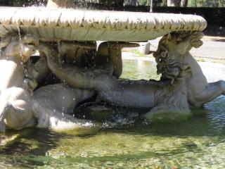DSCN0854.JPG