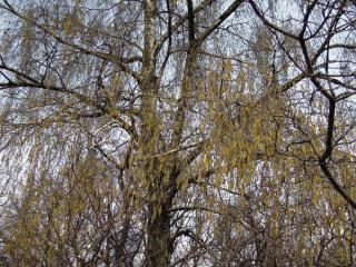 DSCN8324.JPG
