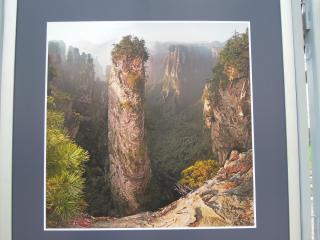 DSCN8531.JPG