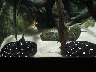 DSCN7316.jpg