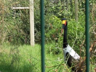 DSCN4349.JPG