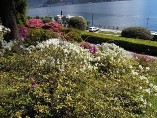DSCN3987.JPG