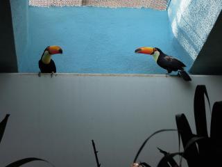 DSCN4340.JPG