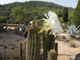 DSCN3869.JPG