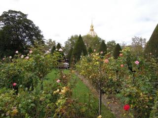 DSCN6979.jpg
