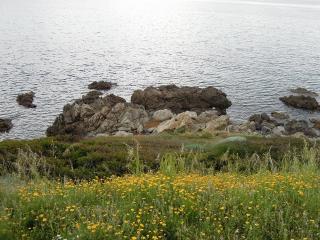 DSCN6819 (640x480).jpg