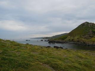 DSCN6870 (640x480).jpg