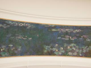 DSCN6486.jpg