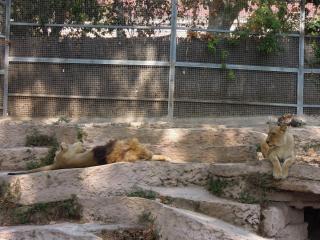DSCN4457.JPG