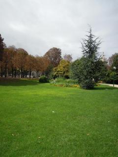 DSCN6552.jpg
