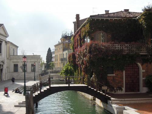 DSCN7137.JPG