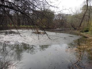 DSCN8291.JPG