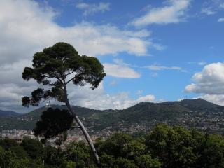 DSCN8426 (640x480).jpg