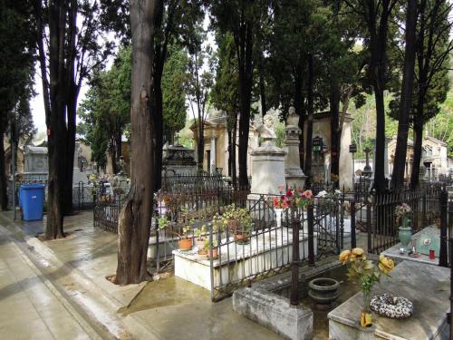 DSCN5435.JPG