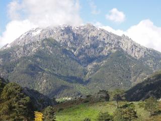 DSCN7730 (640x480).jpg