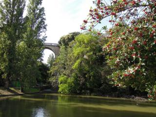 DSCN7723.jpg