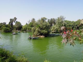 DSCN4323.JPG