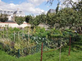 DSCN7234.jpg