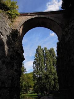 DSCN7741.jpg