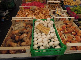 DSCN0380.JPG