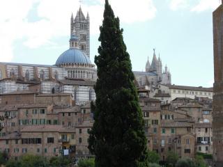 DSCN9307.JPG