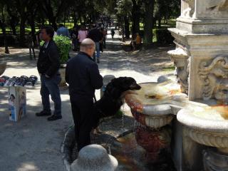 DSCN3478.JPG