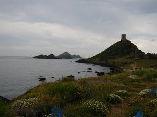 DSCN6825 (640x480).jpg