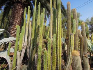 DSCN3911.JPG