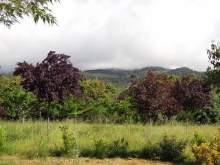 DSCN7568 (640x480).jpg
