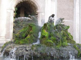 DSCN0071.JPG