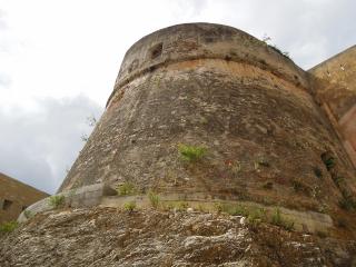 DSCN8082 (640x480).jpg