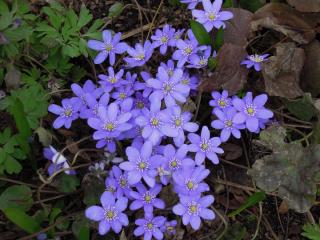 DSCN8194.JPG