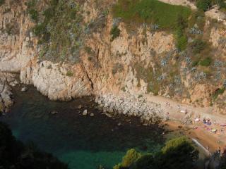 DSCN4974.JPG