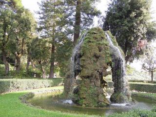 DSCN0089.JPG