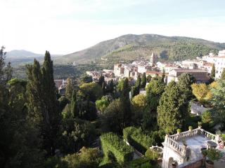 DSCN0138.JPG