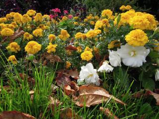 DSCN6547.jpg