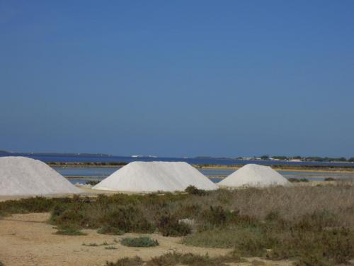 DSCN5748.JPG