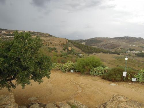 DSCN5260.JPG