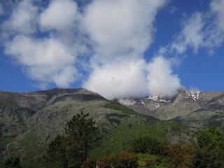 DSCN7802 (640x480).jpg