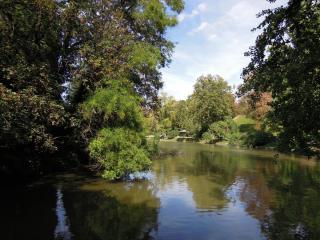 DSCN7740.jpg