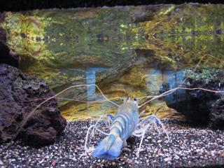 DSCN7279.jpg