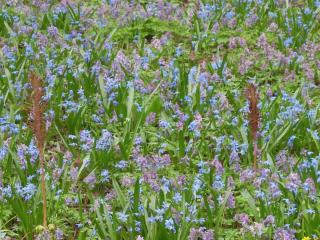 DSCN8190.JPG