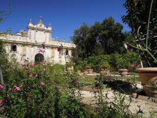 DSCN0843.JPG