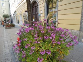 DSCN1265.JPG