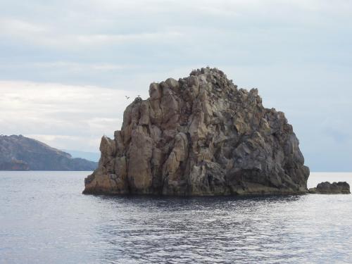 DSCN5065.JPG