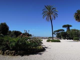 DSCN0816.JPG