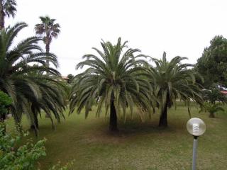 DSCN7028 (640x480).jpg