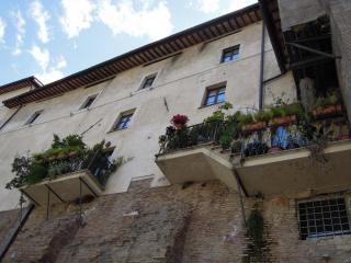 DSCN3331.JPG