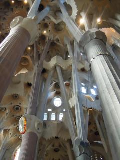 DSCN4005.JPG